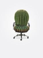 en grön kaktus som kontorsstol på pastellvit bakgrund. obekväm kontorsstol. kreativ minimal idé. hemorrojder koncept. foto