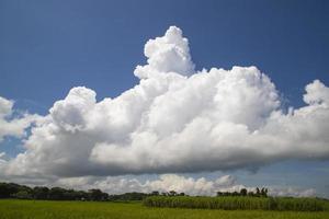 vackra gröna risfält med kontrasterande molnig himmel foto