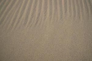 sand textur. vågig sand texturerad bakgrund. sand texturerad strand foto