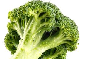 saftig broccoli med droppar vatten på stjälken. foto