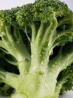 saftig broccoli med droppar vatten på stjälken. foto