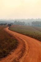 grusväg som leder genom den tidiga vårskogen på en dimmig morgon vid Thung salang luang nationalpark phetchabun, thailand foto