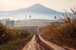 grusväg som leder genom den tidiga vårskogen på en dimmig morgon vid khao takhian ngo utsiktspunkt vid khao-kho phetchabun, thailand foto