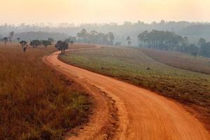 grusväg som leder genom den tidiga vårskogen på en dimmig morgon vid Thung salang luang nationalpark phetchabun, thailand foto