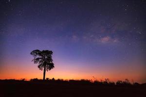 före soluppgången Milkyway och silhuett av träd. fotografi med lång exponering. foto