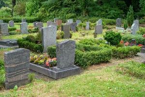 gravstenar på en kyrkogård foto