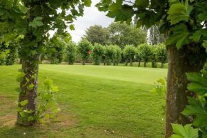 golfbana med gräs och moln på himlen foto