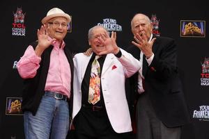 los angeles, sep 8 - norman lear, carl reiner, max brooks at the mel brooks hand- och fotavtrycksceremoni på tcl chinese theatre den 8 september 2014 i los angeles, ca. foto