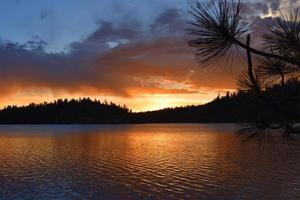 tallskog sjö solnedgång foto