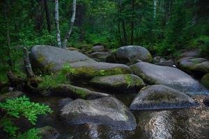 en bergsflod med enorma stenar med grön mossa. vild skog av taiga. foto