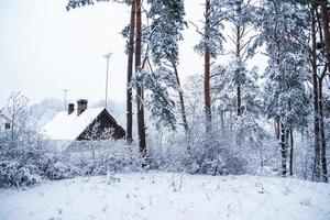 rustikt trähus i den snötäckta skogen. vinterlandskap. snötäckta träd med frost. vintersaga foto