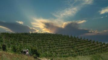 landskap av monta d'alba i den piemontesiska langhe under mangialonga 2022 foto