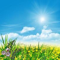 sommarlandskap med fältblommor på en bakgrund av blå himmel och moln foto