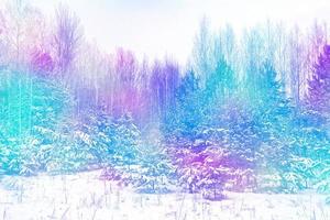 skog i frosten. vinterlandskap. snötäckta träd foto