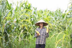 kvinnlig bonde med majsskörd majsbonde majsplantering ekologiskt jordbruk, jordbruksmark foto