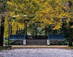 höstfärger i staden strasbourg. gul, röd, orange foto