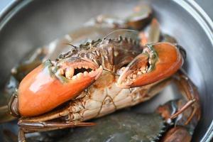 färsk lerkrabba för att laga mat i skaldjursrestaurangen, rå krabba på gryta i köket foto