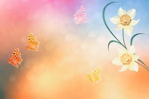ljusa och färgglada vårblommor påskliljor. landskap foto