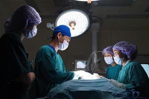 grupp veterinärkirurgi i operationssalen