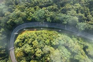 Flygfoto över gröna sommarträd och skog med en väg foto