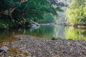 liten natur djungel flod i sabah malaysian borneo. foto