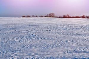 skog i frosten. vinterlandskap. snötäckta träd. foto