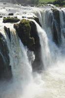 vacker natur vild djungel landskap regnskog iguazu vattenfall argentina