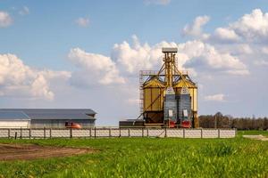 panoramavy på agro silos spannmålsmagasin hiss på agro-bearbetning tillverkningsanläggning för bearbetning kemtvätt och lagring av jordbruksprodukter, mjöl, spannmål och spannmål. foto