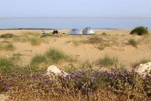 Medelhavets kust i norra Israel. foto