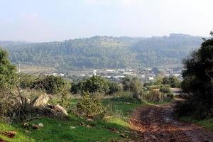 landskap i bergen i norra israel foto