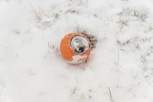 bränd grapefrukt på snö bakgrund foto