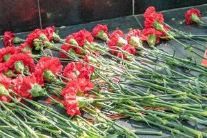 röda nejlikor vid monumentet för att hedra segerdagen för det stora fosterländska kriget till minne av de som dödades där foto