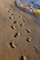 fotspår i sanden på stadsstranden. foto