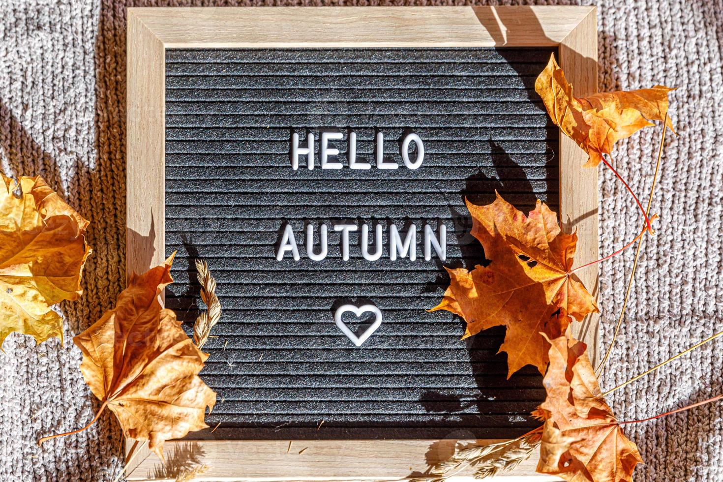 herfst achtergrond. zwarte letter bord met tekst zin hallo herfst en gedroogde bladeren liggend op witte gebreide trui. bovenaanzicht, plat gelegd. dankzegging banner. hygge mood koud weer concept foto