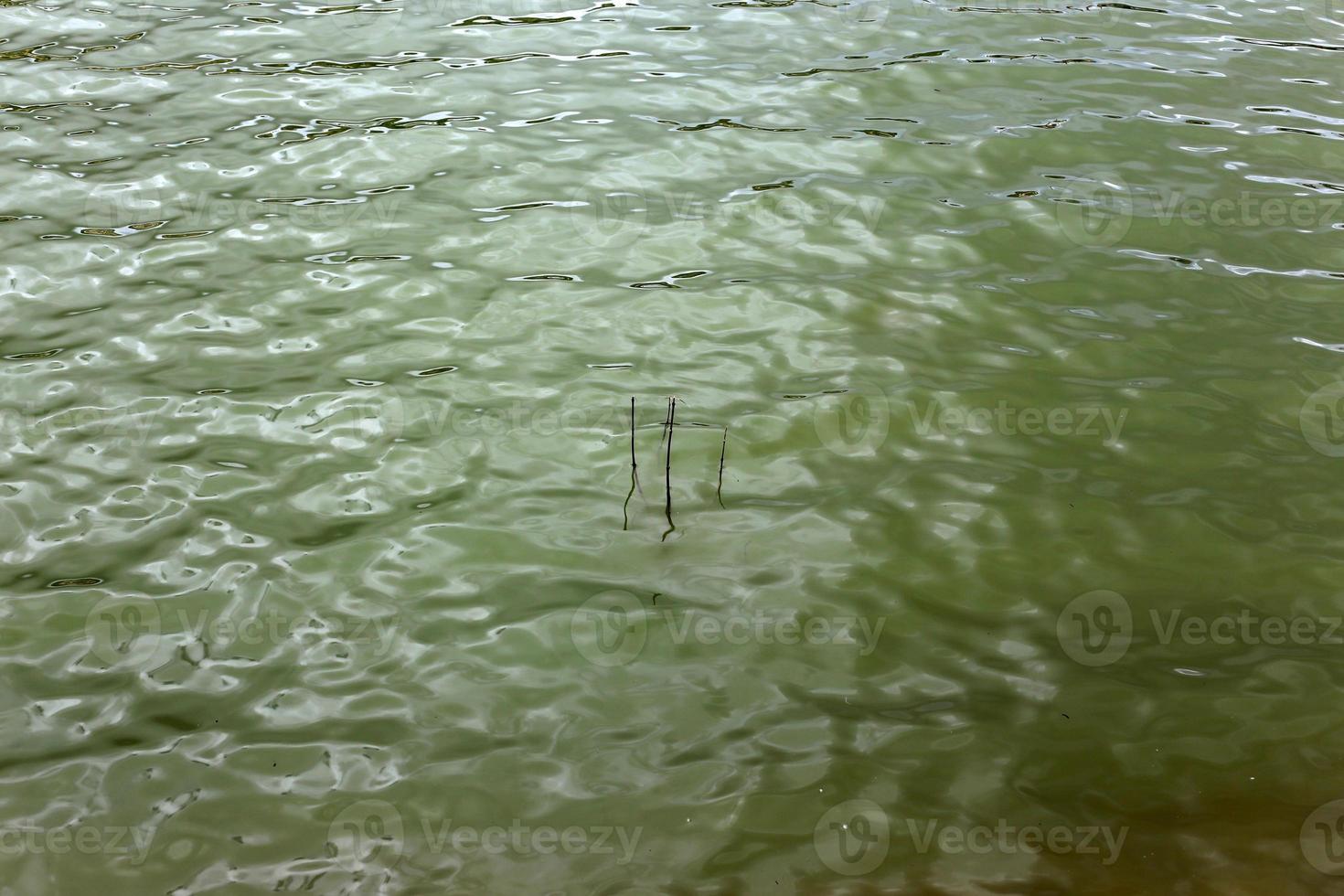 kust van de Middellandse Zee in Noord-Israël. foto