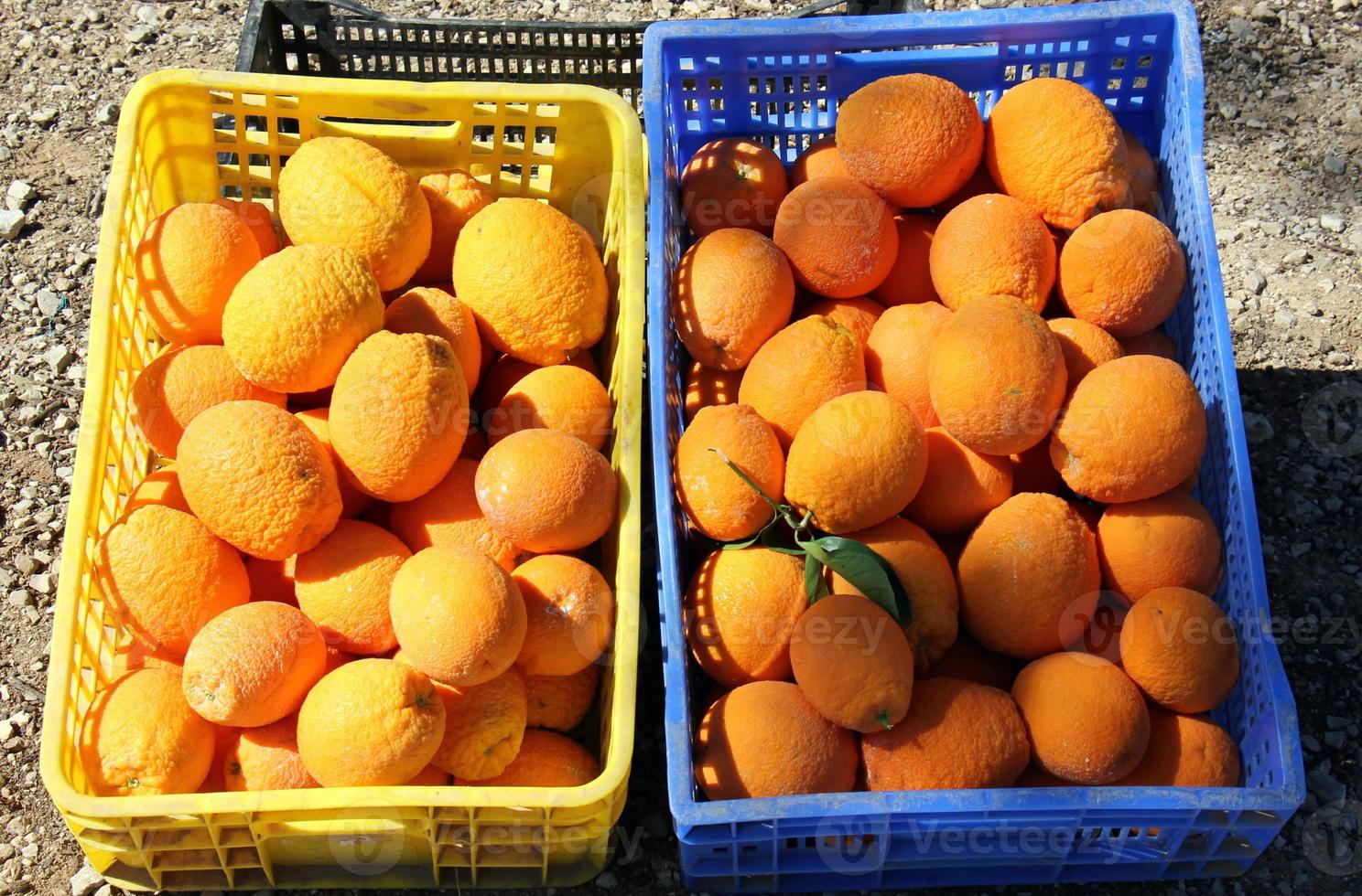 bessen en fruit worden verkocht op een bazaar in Israël. foto