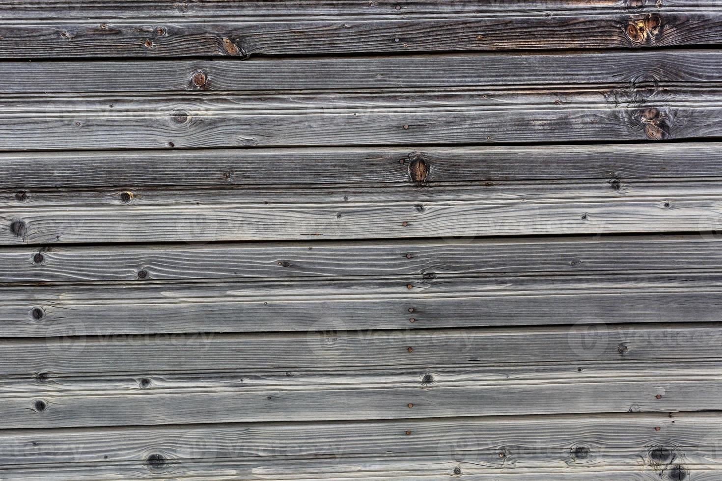 houten grijze frame textuur van oud huis met hol gegeten schorskever foto