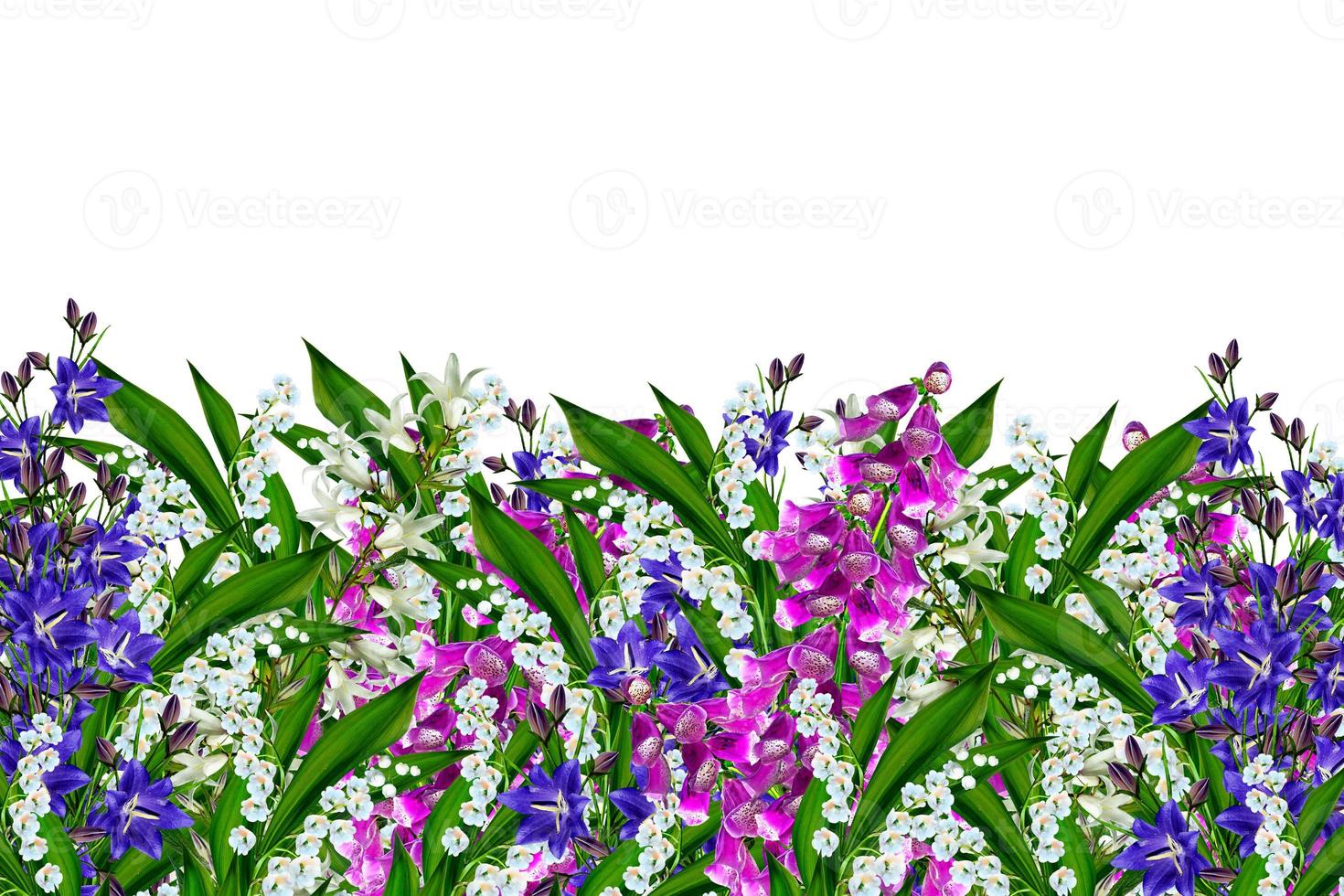 bloemen klokje geïsoleerd op witte achtergrond foto