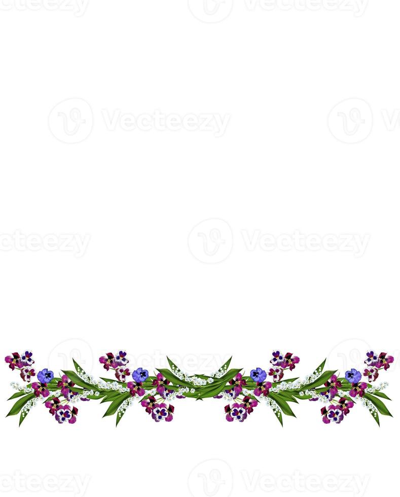 viooltje bloemen geïsoleerd op een witte achtergrond foto