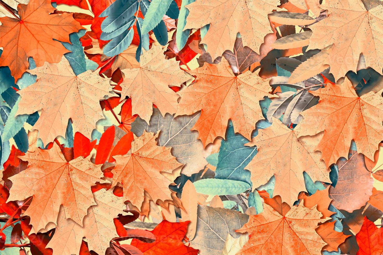 abstracte achtergrond van herfstbladeren foto