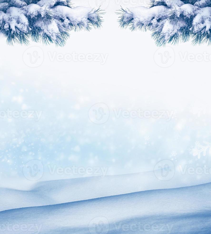Kerstmisachtergrond met besneeuwde dennentakken foto