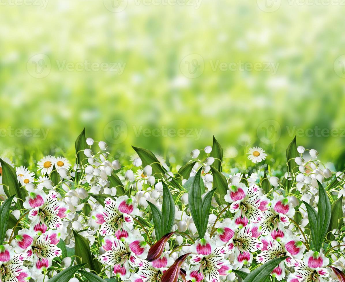 achtergrond van bloemen. foto