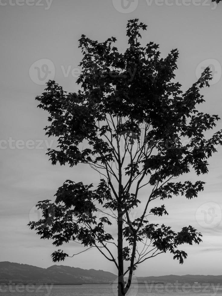 de Beierse stad lindau foto