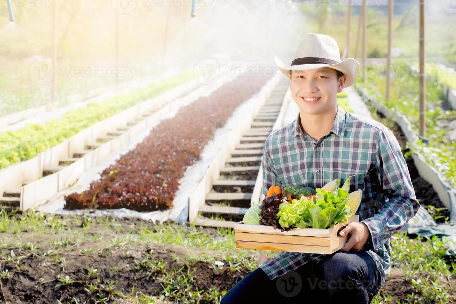 portret jonge Aziatische man glimlachend oogst en oppakken van verse biologische moestuin in mand in de hydrocultuur boerderij, landbouw en teelt voor gezonde voeding en business concept. foto