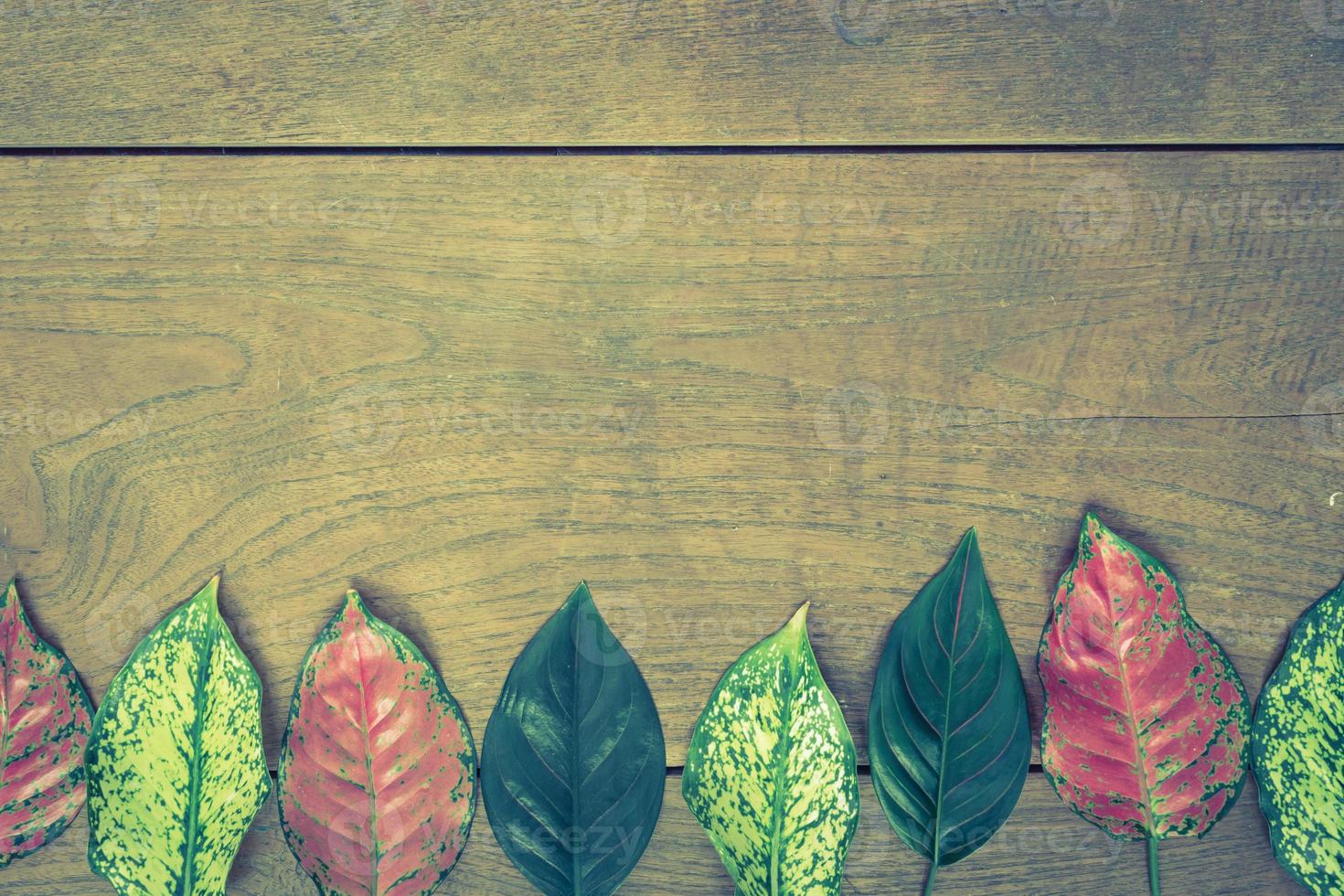 herfstbladeren op houten background.vintage style foto