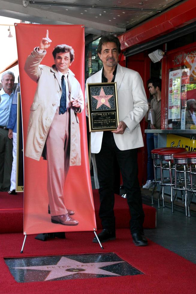 los angeles, 25 jul - joe mantegna bij de postume walk of fame star-ceremonie van peter falk tijdens de hollywood walk of fame op 25 juli 2013 in los angeles, ca foto