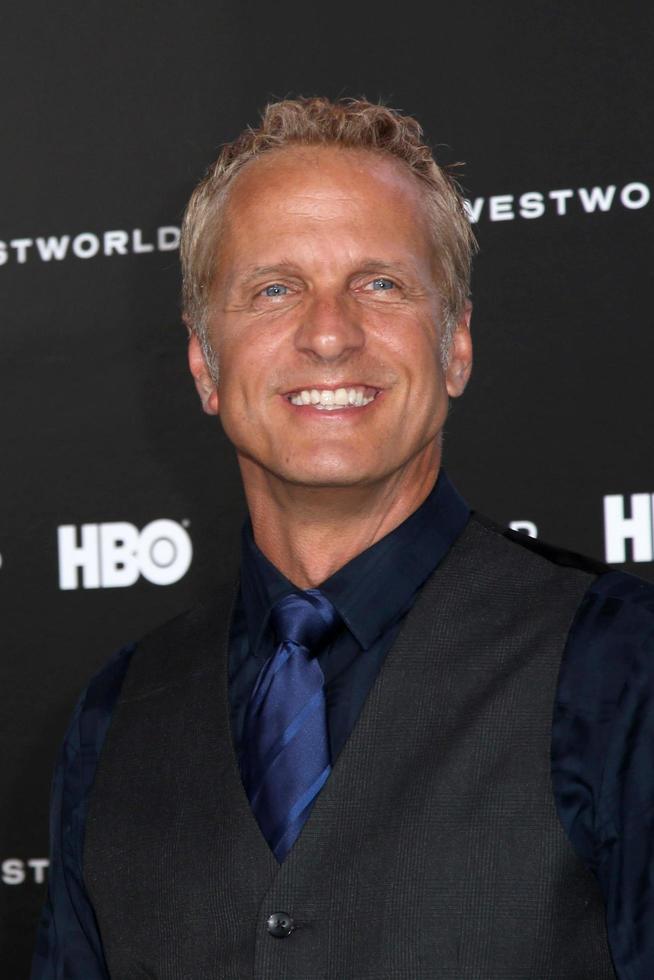 los angeles, 28 sep - patrick fabian bij de hbo's westworld los angeles première in het tcl chinese theater imax op 28 september 2016 in los angeles, ca foto