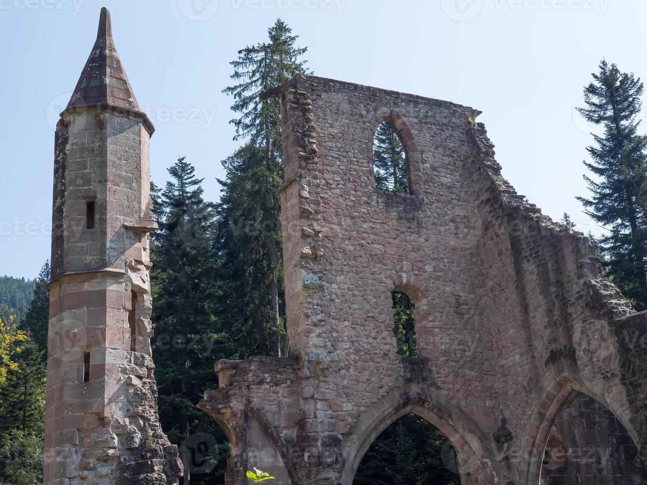 het zwarte woud in duitsland foto