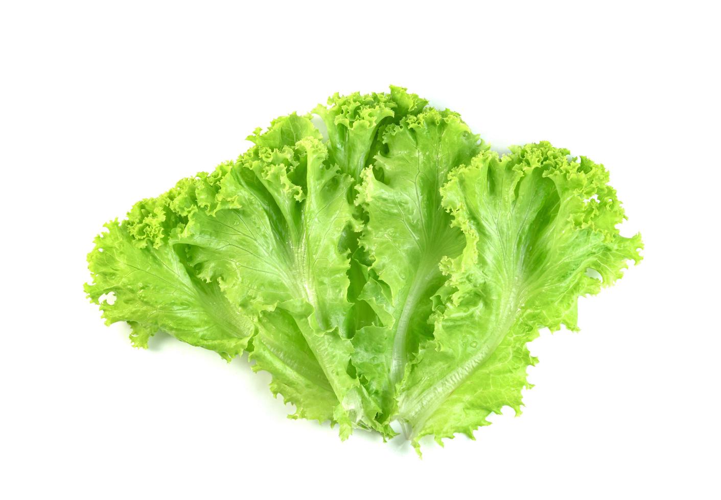 Sla blad geïsoleerd op een witte achtergrond, groene bladeren patroon, salade ingrediënt foto