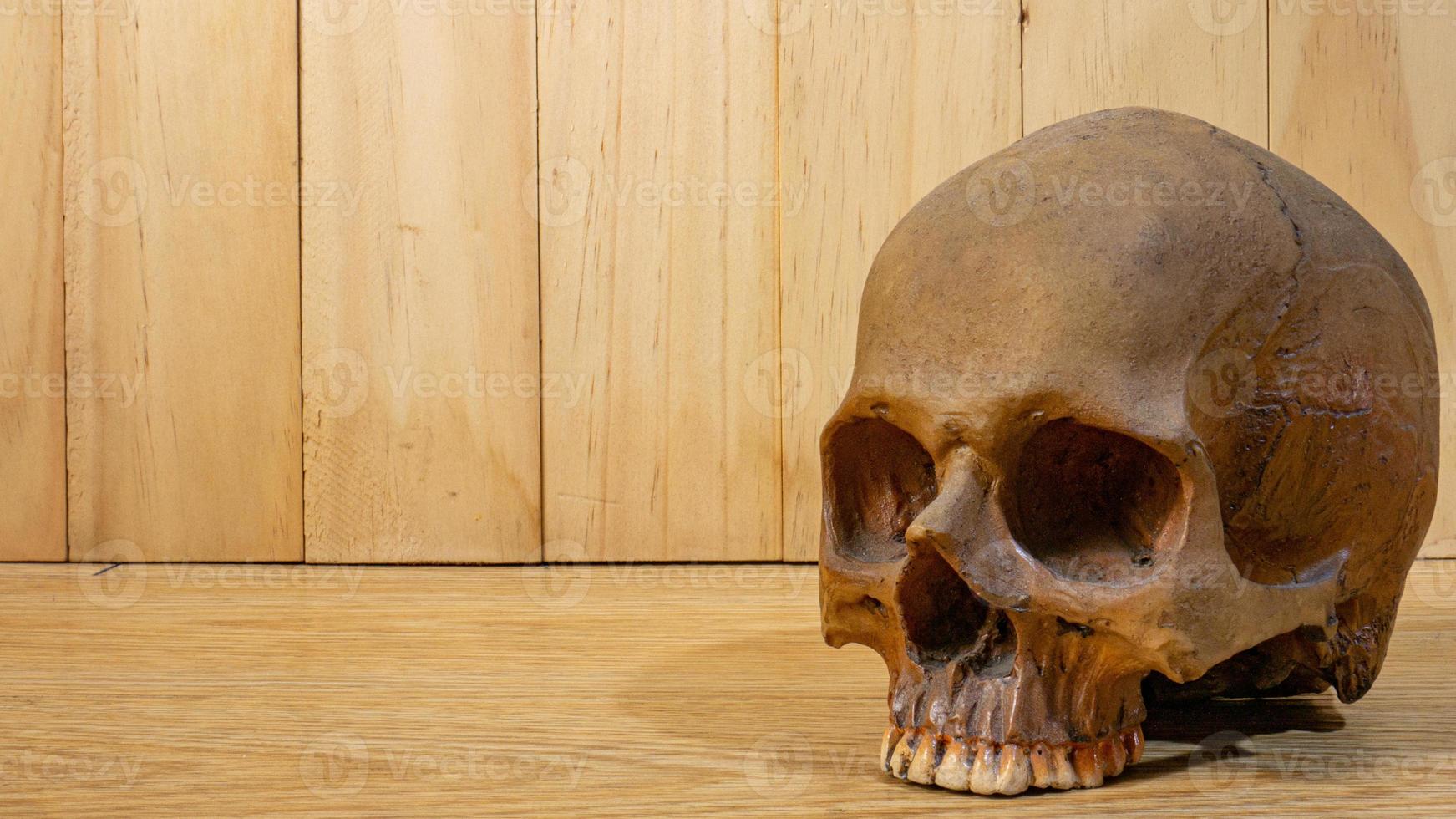 het schedelhoofd op houten tafel voor onderwijs of halloween-achtergrondconcept foto